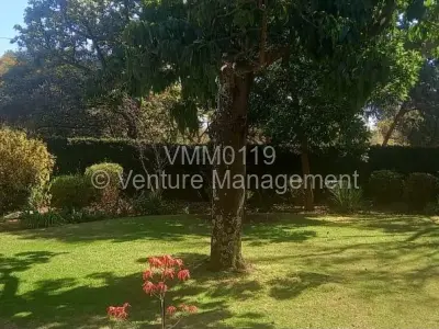 House For Rent in Alexandra Park