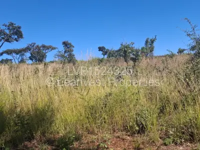 Land for Sale in Borrowdale