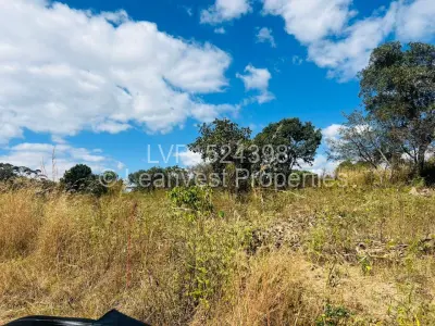 Residential Stand For Sale in Charlotte Brooke