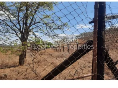 Farm for Sale in Odzi