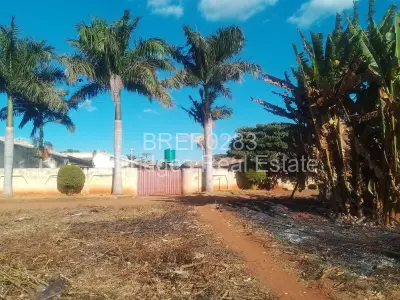 Stand for Sale in Bluff Hill