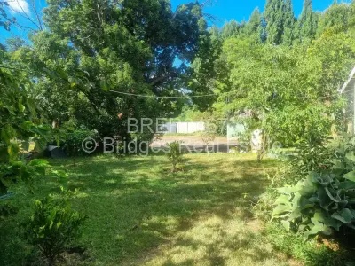 Residential Stand For Sale in Mount Pleasant