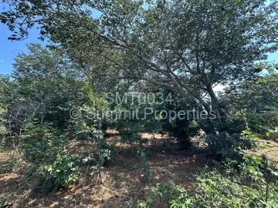Residential Stand For Sale in Victoria Falls