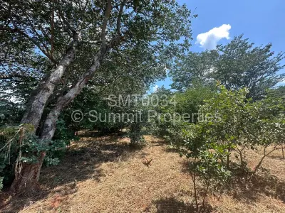 Residential Stand For Sale in Victoria Falls