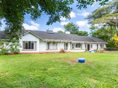 Commercial Property for Sale in Borrowdale