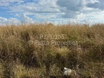 Stand for Sale in Norton