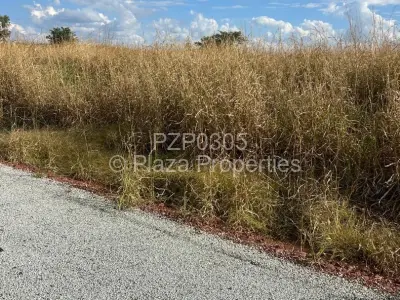 Stand for Sale in Norton