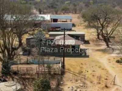 Farm for Sale in Figtree
