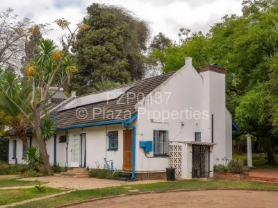 House For Rent in Chisipite