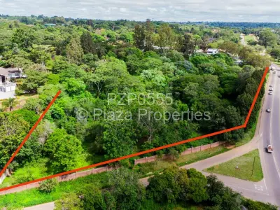 Commercial Stand For Sale in Rolf Valley