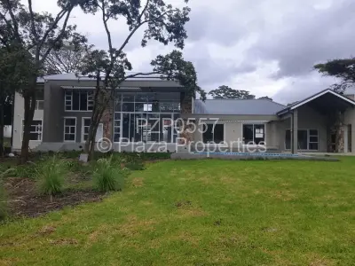 House For Rent in Borrowdale