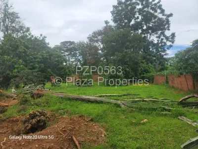 House For Sale in Borrowdale