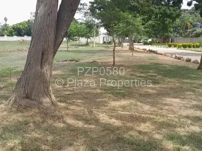 Commercial Stand For Sale in Eastlea