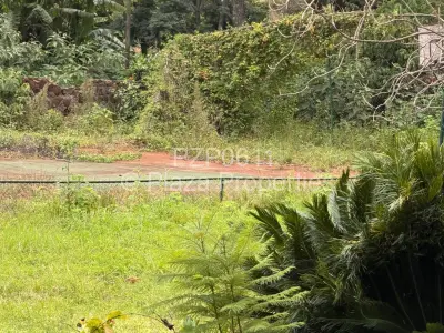 House For Sale in Greystone Park