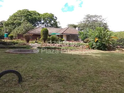 House For Rent in Mount Pleasant