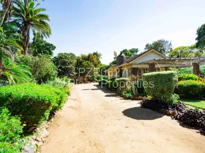 House For Sale in Mandara