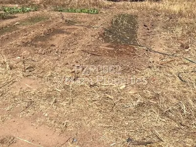 Residential Stand For Sale in Arlington