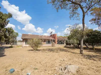 Commercial Stand For Sale in Waterfalls