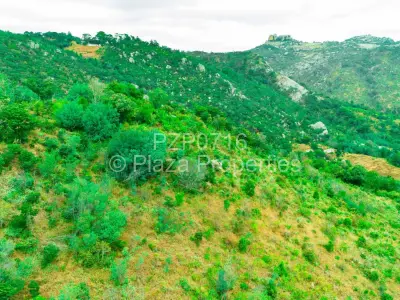 Commercial Stand For Sale in Juliasdale