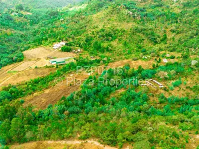 Commercial Stand For Sale in Juliasdale