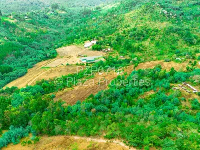 Commercial Stand For Sale in Juliasdale