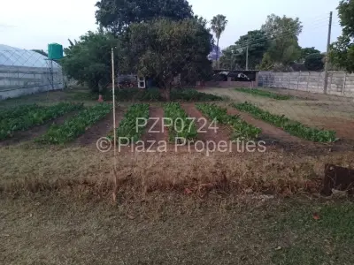 Residential Stand For Sale in Greengrove