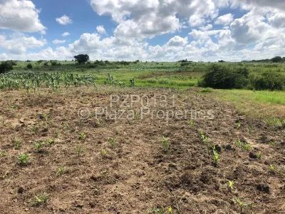 Land for Sale in Karoi