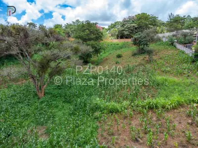 Land for Sale in Helensvale