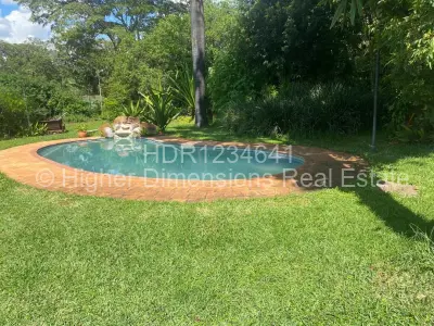 House For Rent in Alexandra Park