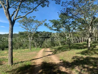 Land for Sale in Juliasdale