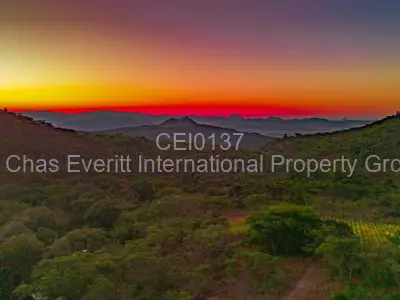 Land for Sale in Juliasdale