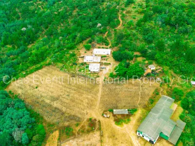 Stand for Sale in Juliasdale
