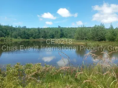 Land for Sale in Juliasdale