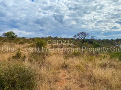 Land for Sale in Fortunes Gate