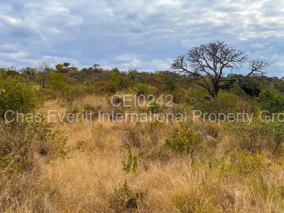 Land for Sale in Fortunes Gate