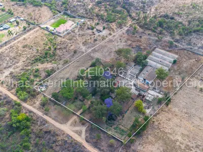Farm for Sale in Willsgrove