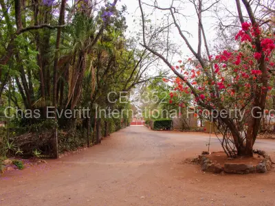 Commercial Property for Sale in Suburbs