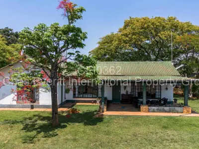 Commercial Stand For Sale in Worringham