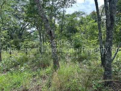 Residential Stand For Sale in Ruwa