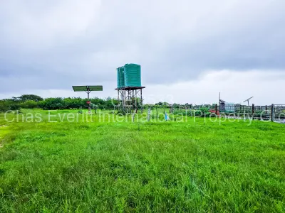 Farm/Plot For Sale in Figtree