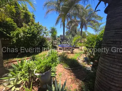 House For Sale in Paddonhurst