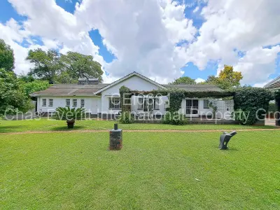 House For Rent in Alexandra Park