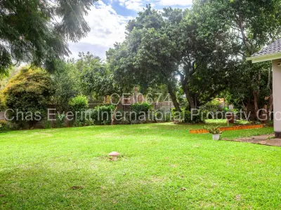 House For Rent in Vainona