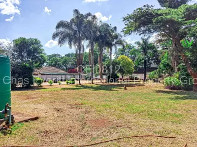 House For Rent in Borrowdale