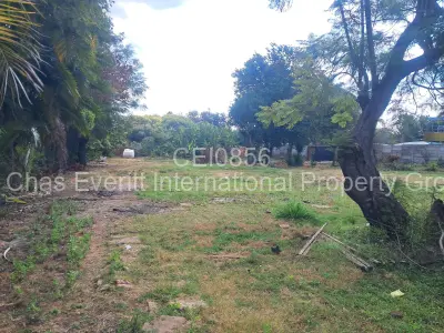 Commercial Stand For Sale in Avondale