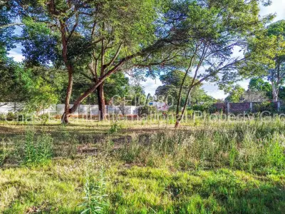 House For Sale in Borrowdale