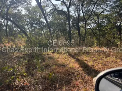 Farm/Plot For Sale in Gokwe