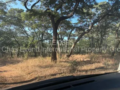 Farm/Plot For Sale in Gokwe
