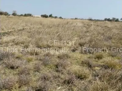 Residential Stand For Sale in Norton
