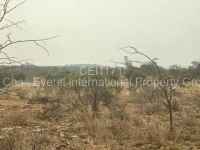 Farm/Plot For Sale in Kensington Byo